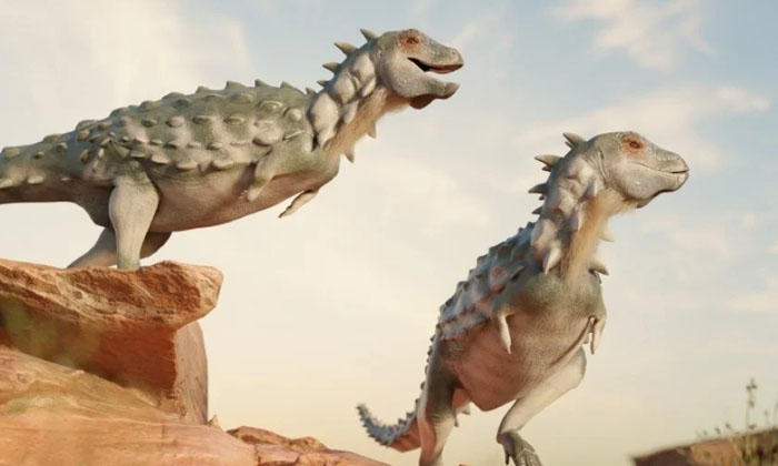  Scientists Have Discovered Armored Dinosaurs In Argentina Details , Scientists-TeluguStop.com