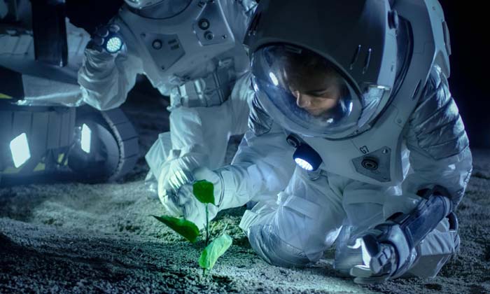  Seeds From Space China S Innovative Effort That S Why , China, Space, China Ne-TeluguStop.com