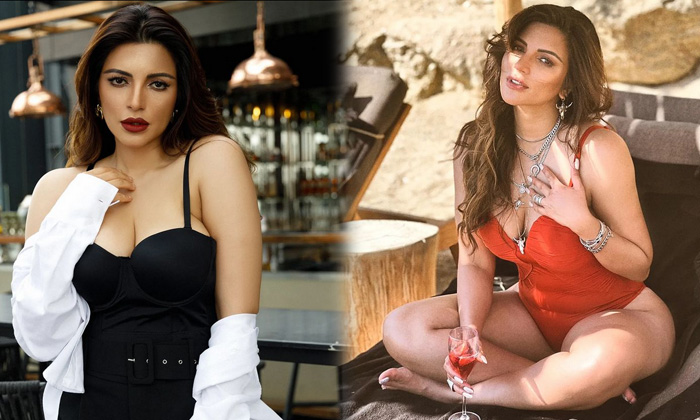 Shama Sikander Looks Hot And Beautiful In This Photos-telugu Actress Photos Shama Sikander Looks Hot And Beautiful In Th High Resolution Photo