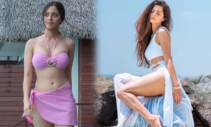 Vedhika looks Fiery Hot In This Photos-telugu Actress Photos Vedhika looks Fiery Hot In This Photos - Actress Vedhika C High Resolution Photo