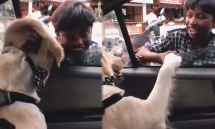  Untainted Love  Video Of Kids Winning Hearts , Pet Dog , Viral Latest , News Vi-TeluguStop.com