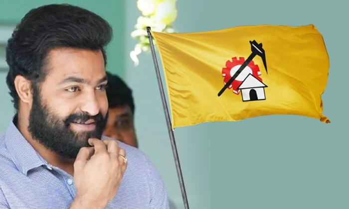  When Is Junior Ntr Entry In Politics Tdp Brothers Are Waiting Details, Junior Nt-TeluguStop.com