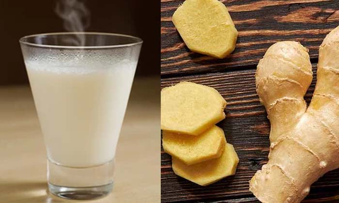 Telugu Ginger, Benefits, Tips, Milk, Milk Benefits, Milk Ginger, Rainy Season-Te