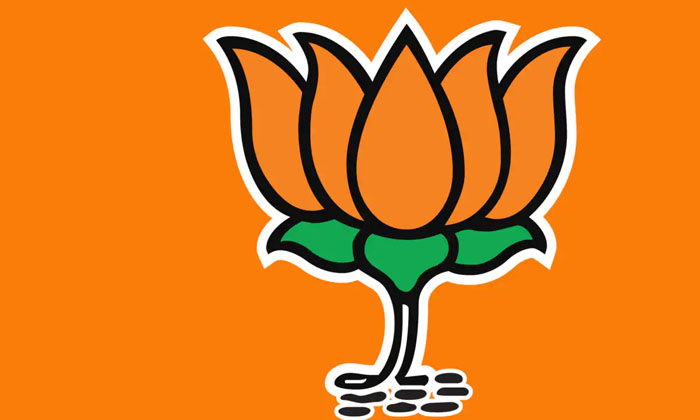 Interesting Facts About Bjp Met Junior Ntr Details Here Goes Viral , Bjp , Am Interesting Facts About Bjp Met Junior Ntr Details Here Goes Viral , Bjp , Am-TeluguStop.com