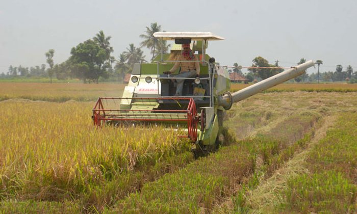  Central Government Scheme To Provide Farm Tools For Rent Details, Farming Untis,-TeluguStop.com