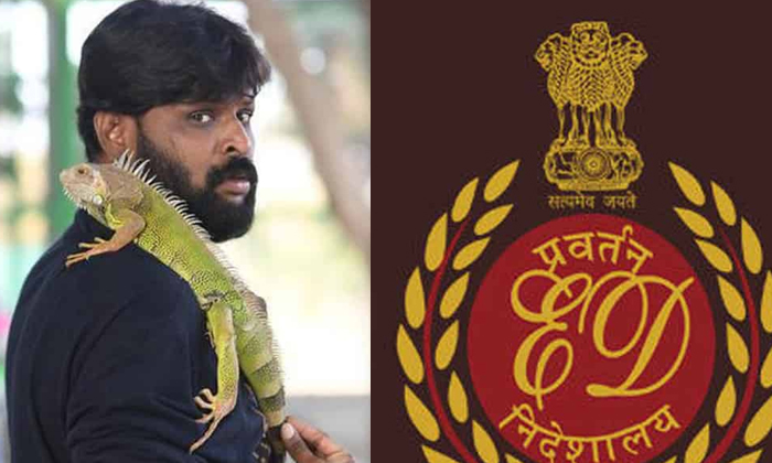 Telugu Black, Casino, Chikoti Praveen, Dubai Estate, Ed, Hawala, Shell, Telangan