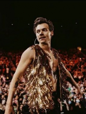  Fan Throws Chicken Nugget At Vegetarian Harry Styles, Gets It Back-TeluguStop.com