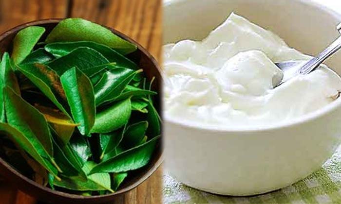 Telugu Fall, Follicles, Pack, Herbal Pack-Telugu Health Tips