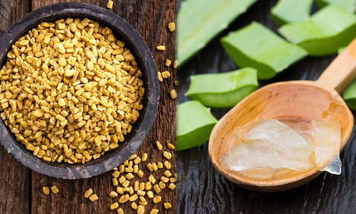 Telugu Fall, Follicles, Pack, Herbal Pack-Telugu Health Tips