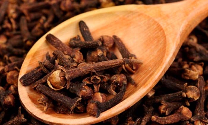 Telugu Bay, Boric Powder, Cockroaches, Tips, Latest-Latest News - Telugu