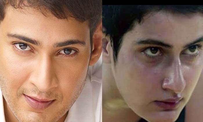  Horrible Trolls On Mahesh Babus Beard Look Shocked By Comparison With Dangal Her-TeluguStop.com