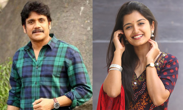 Telugu Actresspriyanka, Actress, Gold, Priyanka Jain, Priyankajain, Nagarjuna-Mo