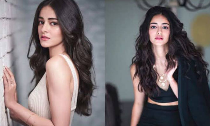  Stop Takingher In Movies Shocking Trolls On Star Kid Ananya Pandey ,liger Movie-TeluguStop.com