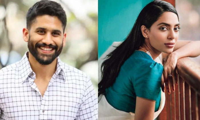 Nagachaitanya Shocking Comments About Shobhita Goes Viral In Social Media , Lal Nagachaitanya Shocking Comments About Shobhita Goes Viral In Social Media , Lal-TeluguStop.com