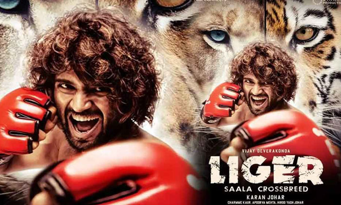  Liger Movie Result Effect On Tollywood Directors Details Here Goes Viral ,lige-TeluguStop.com