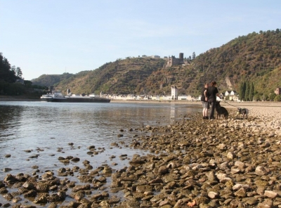  Rhine Water Level Rises In Western Germany-TeluguStop.com