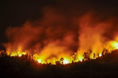  Spanish Wildfires Under Control Amid Rain-TeluguStop.com