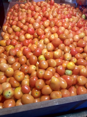  Tomato Now Costs Rs 500 Per Kilo In Lahore-TeluguStop.com