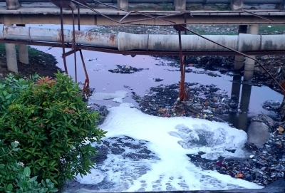  Water Bodies Be Geo-tagged, Given Uid: Ngt On Sewage Pollution-TeluguStop.com