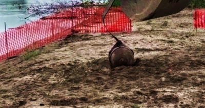  Wwii Bomb Detonated In Italy-TeluguStop.com