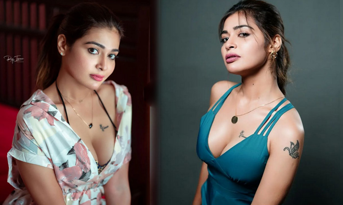 Actress Dharsha Gupta Is Too Hot To Handle In This Spicy Pictures-telugu Actress Photos Actress Dharsha Gupta Is Too Hot High Resolution Photo