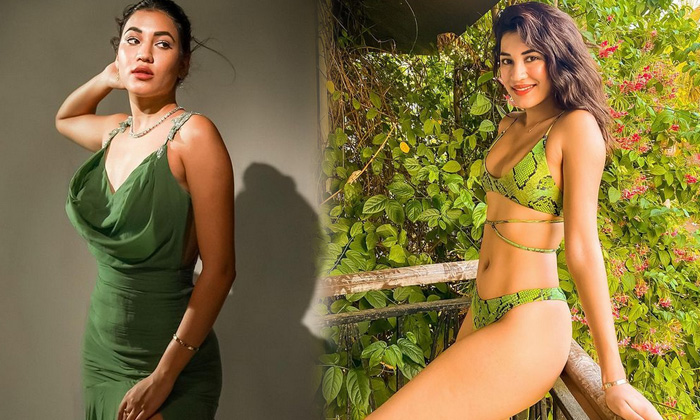 Actress Shivani Singh Slays With This Spicy Pictures  - Actressshivani Shivani Yanan Shivaniyanan High Resolution Photo