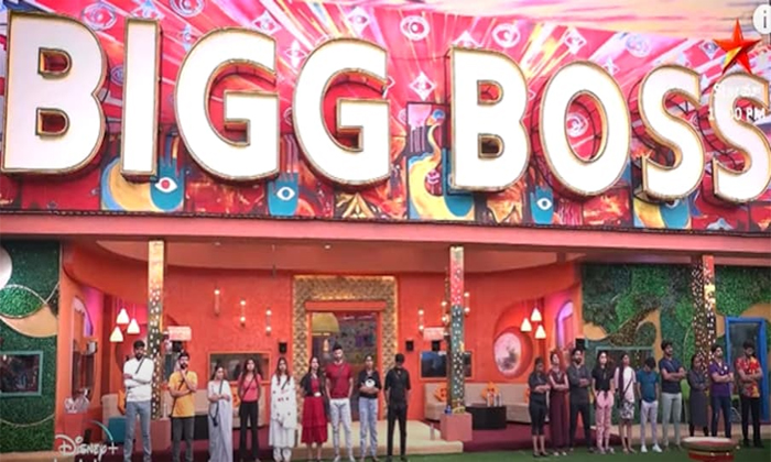  Bigg Boss Telugu Eliminated Candidates Not Happy Details,  Bigg Boss Telugu, Big-TeluguStop.com