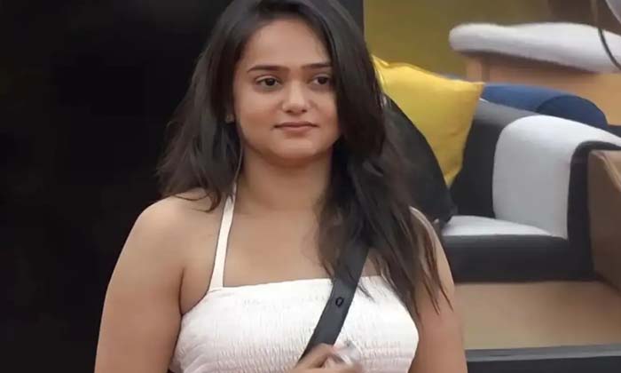 Telugu Akkineni Fans, Biggboss, Geetu, Nagarjuna, Shreesatya, Sri Sathya, Srisat