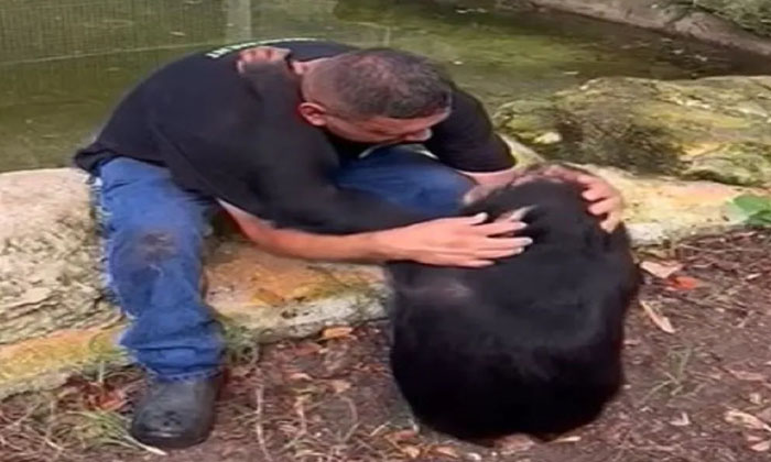  Viral: Chimpanzee Comforting A Crying Person Netizens Are Furious , Chimpanzee,-TeluguStop.com