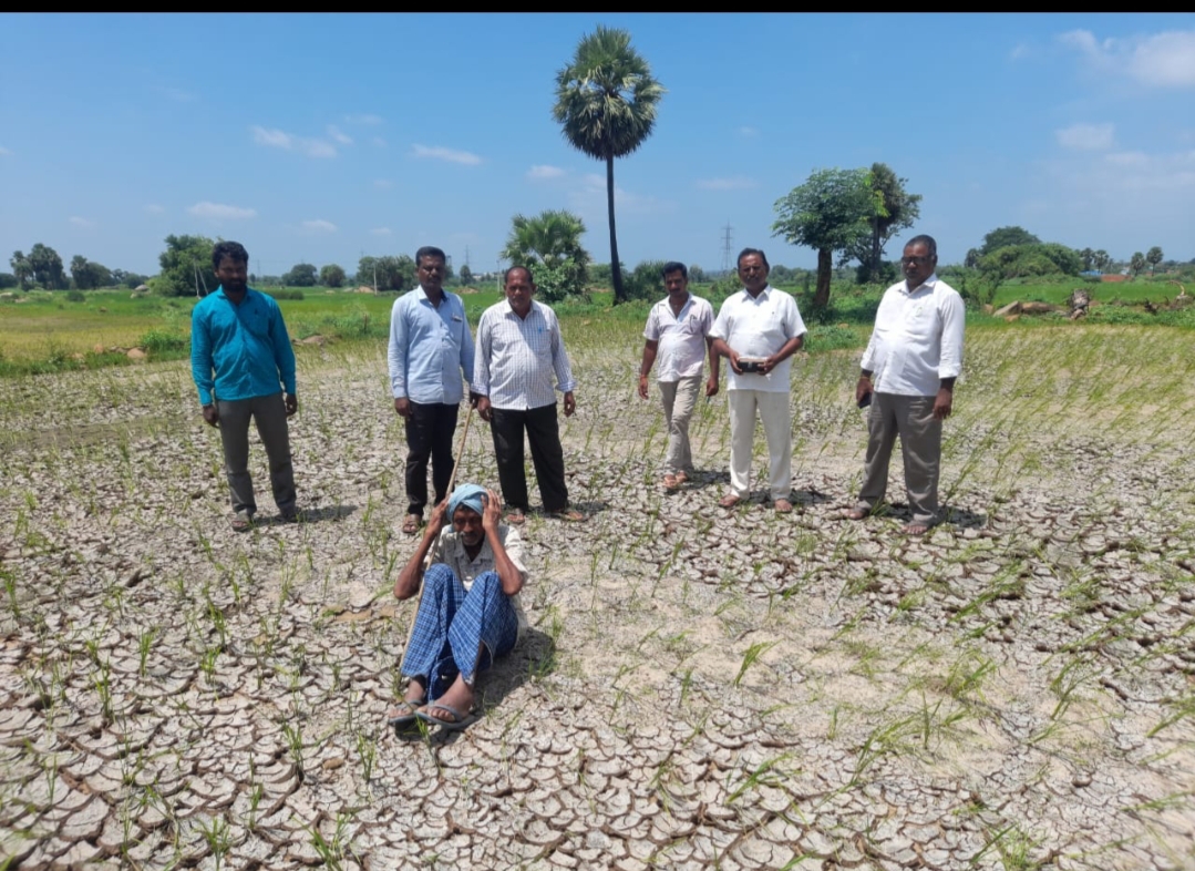  Protect Sagar's Left Canal Ayacut-TeluguStop.com