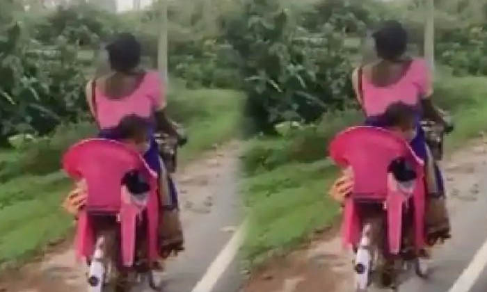  A Mother Who Arranged The Back Seat Of A Bicycle Specially For Her Son  Video Vi-TeluguStop.com