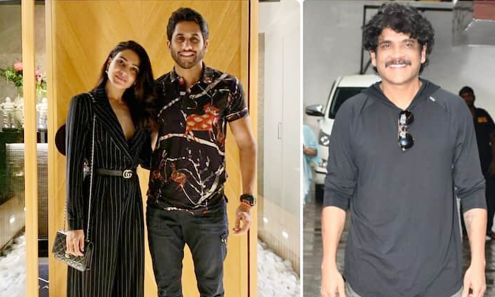  Nagarjuna About Samantha And Naga Chaitanya Divorce Details, Nagarjuna, Alia Bha-TeluguStop.com