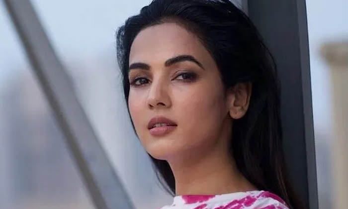 Telugu Akhil, Chiranjeevi, Naga Chaitanya, Nagarjuna, Ghost-Movie