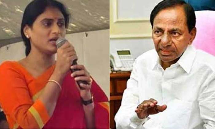 Telugu Telangana, Ys Sharmila, Ysrtp-Politics Telugu Telangana, Ys Sharmila, Ysrtp-Politics