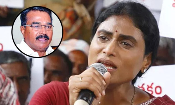  Ys Sharmila Firees On Minister Niranjan Reddy,minister Niranjan Reddy,ys Sharmil-TeluguStop.com