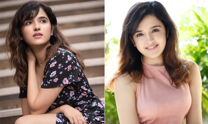 Telugu Shirley Setia, Krishnavrinda, Naga Shaurya, Zealand, Shirleysetia, Tollyw