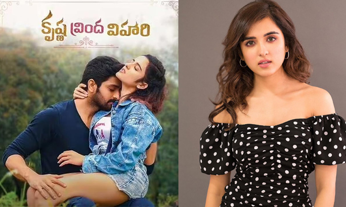  Back Ground About Krishna Vrinda Vihari Heroine Shirley Setia Details, Shirley-TeluguStop.com