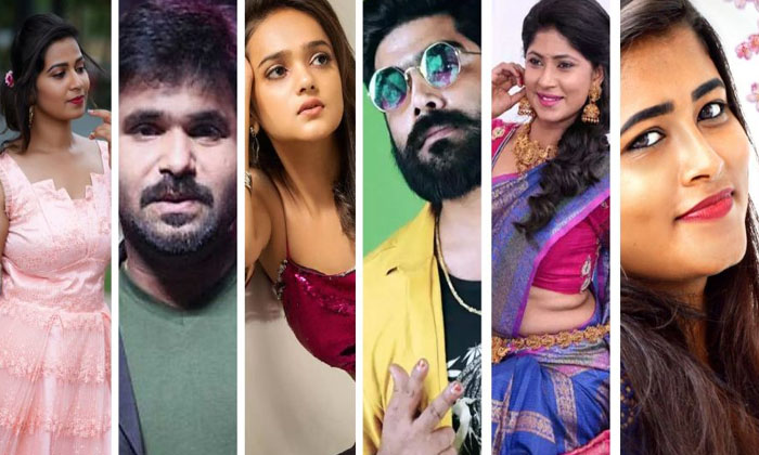  Bigg Boss Season6 Telugu Final Contestants Details Here Goes Viral , Bigg Boss S-TeluguStop.com