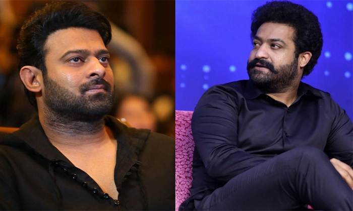  Bjp Focussed On Junior Ntr And Prabhas Details, Bjp, Junior Ntr, Prabhas, Ntr An-TeluguStop.com