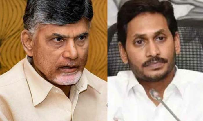  Do You Work As Much As Peddireddy Babu In Trouble , Chandrababu, Tdp, Cbn, Pedd-TeluguStop.com