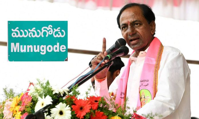 Telugu Cm Kcr, Congress, Munugode, Munugodu-Political