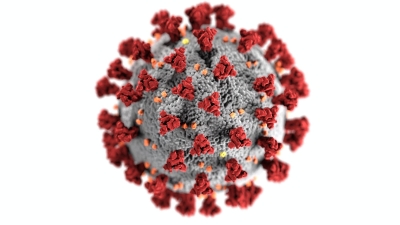  Delta Variant Of Coronavirus Could Evade Immune System, Finds Study-TeluguStop.com