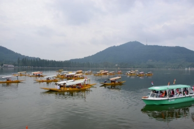 Diving Into Still Waters: The Remarkable Life On The Dal Lake-TeluguStop.com