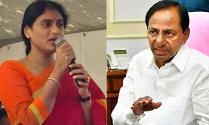  Sharmila's Is Not Confidence Over Confidence Ys Sharmila, Ysrtp, Telangana, Kcr,-TeluguStop.com