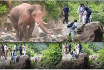  Former Cm Trivendra Rawat Climbs Hill After Elephant Blocks Convoy-TeluguStop.com