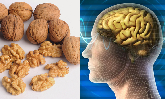  Health Benefits Of Eating Dry Nuts Daily Deails, Health Benefits ,eating Dry Nut-TeluguStop.com