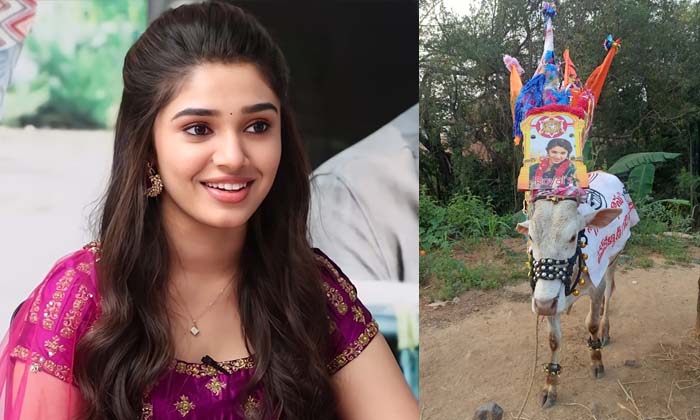 Actress Krithishetty Photo Goes Viral In Social Media Details Here ,kruthishett Actress Krithishetty Photo Goes Viral In Social Media Details Here ,kruthishett-TeluguStop.com