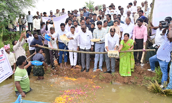  Minister Puvvada Ajay Distributes Free Fishes In Khammam Constituency, Minister-TeluguStop.com
