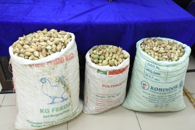Over 1,000 Kg Poppy Straw Seized In Mp Over 1,000 Kg Poppy Straw Seized In Mp-TeluguStop.com