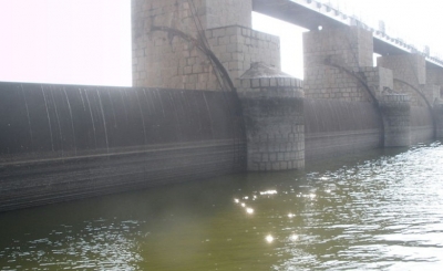  Pambar Dam In Tn Drains To Half After Shutter Snaps-TeluguStop.com